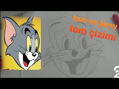 Video: Tom Nasıl çizilir