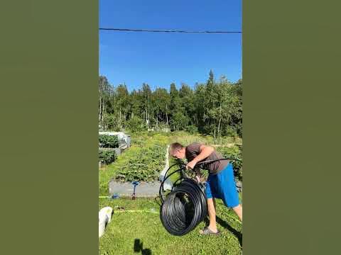 Показываю как обустроить капельный полив из пнд труб сразу на двух ...