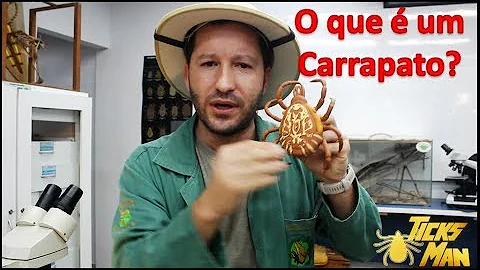 O que fazer quando se é picado por um carrapato?