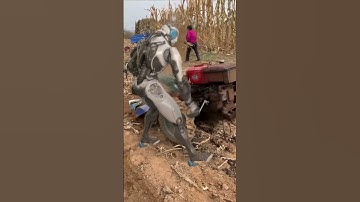 Real scene in rural China, robots doing farm work.#robot #funny#entertainment#labor