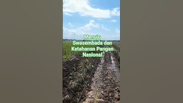 Rehab Jaringan Irigasi Tersier  pendukung optimalisasi lahan #sawah #irigasi #kementanri #petani