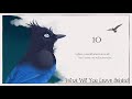 1113 in  closed  what will you leave behind  anything bird pmv 1 month map