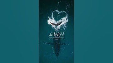 وذا النون إذ ذهب  #تلاوة_خاشعة #ياسر_الدوسري #قرآن #quran #اكسبلور #follow #viral #فولو #viral #fyp
