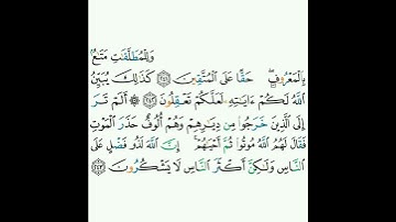 2 - سورة البقرة ٢٤١-٢٤٣ - مشاري بن راشد العفاسي