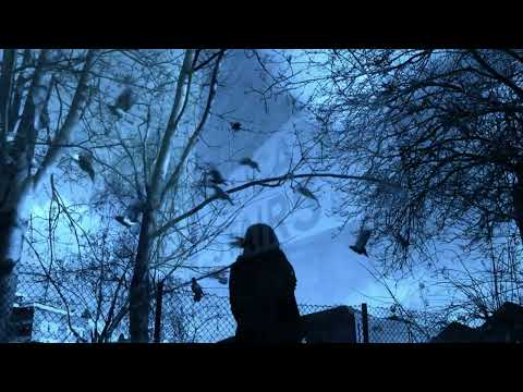 Fabienne Delsol - I Heard About A Friend (OFFICIAL VIDEO / Taken from the album Indigo Red)