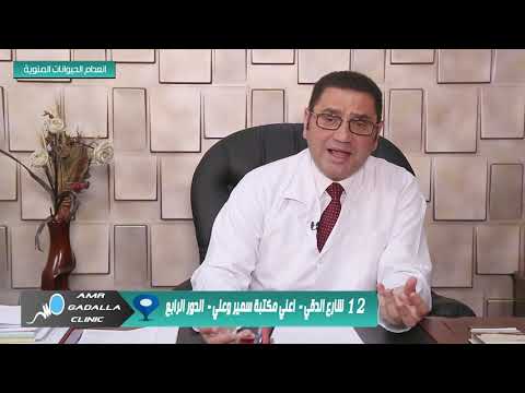 دكتور عمرو محمد جاد الله و حلقة عن حل مشكلة انعدام الحيوانات المنوية