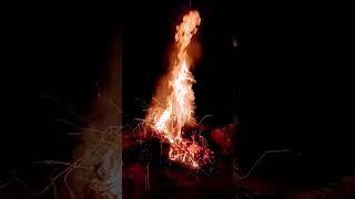 Alev Alev Alev... Reklam Değildir