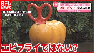 【判明】公園にポツン…SNSで話題 “エビフライ”の遊具！ 実は…