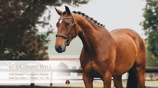 Lot 47 Callaho Conny Will (Con Coriano x Lissabon x Simply)