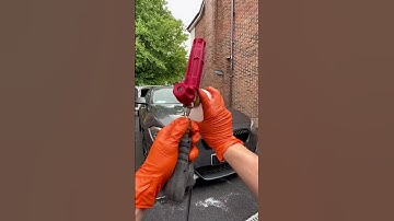 Watch Hydrophobic Magic in Action! #detailing #flex #asmr #satisfying #carcare