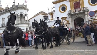 (3/3) Sevilla Capital Mundial del Enganche 2017. Caballos y Carruajes.