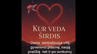 Kur veda širdis (Tavo Ritmas)lietuviskamuzika#