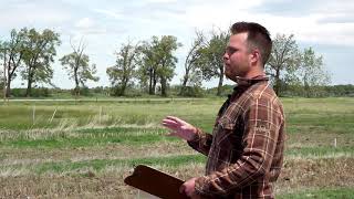 Plot Hop - Herbicide Resistant Kochia