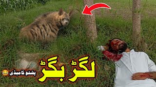 Lagar bagar video | lagar bagar Pashto funny video 2022 | Hashtnagar Vines