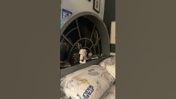 Yay my first loop #lofi #beats #music #rnb