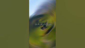 واتس أب قرآن كريم القارئ مشاري العفاسي من سورة (مريم)