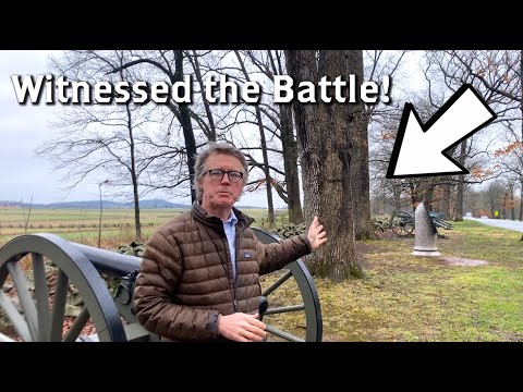 A Tree that Witnessed Gettysburg: Confederate Avenue