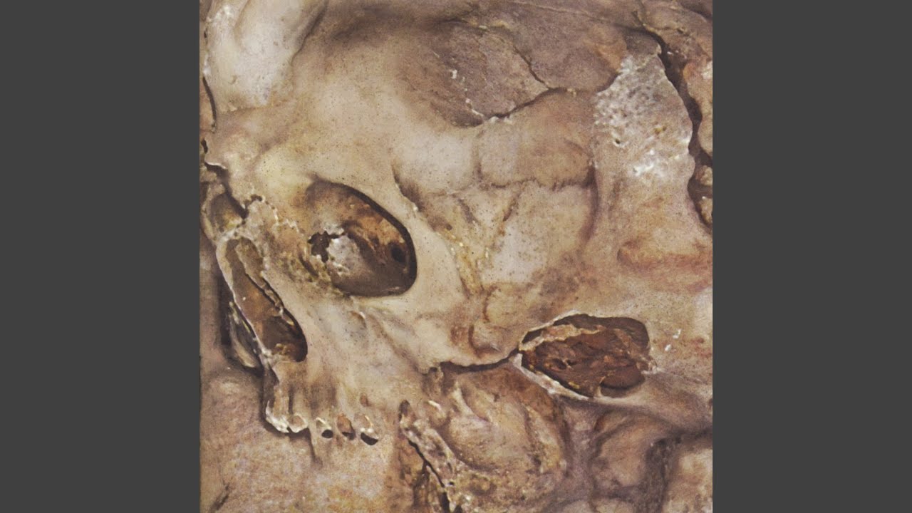 Thrashing Heavy Metal