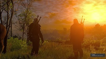 The Witcher 3 Wild Hunt Linux (Proton)