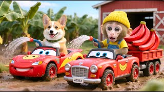 🚒🐵 Monkey Popo Drives a Water Truck To Help Corgi’s Banana Garden Recover From the Drought
