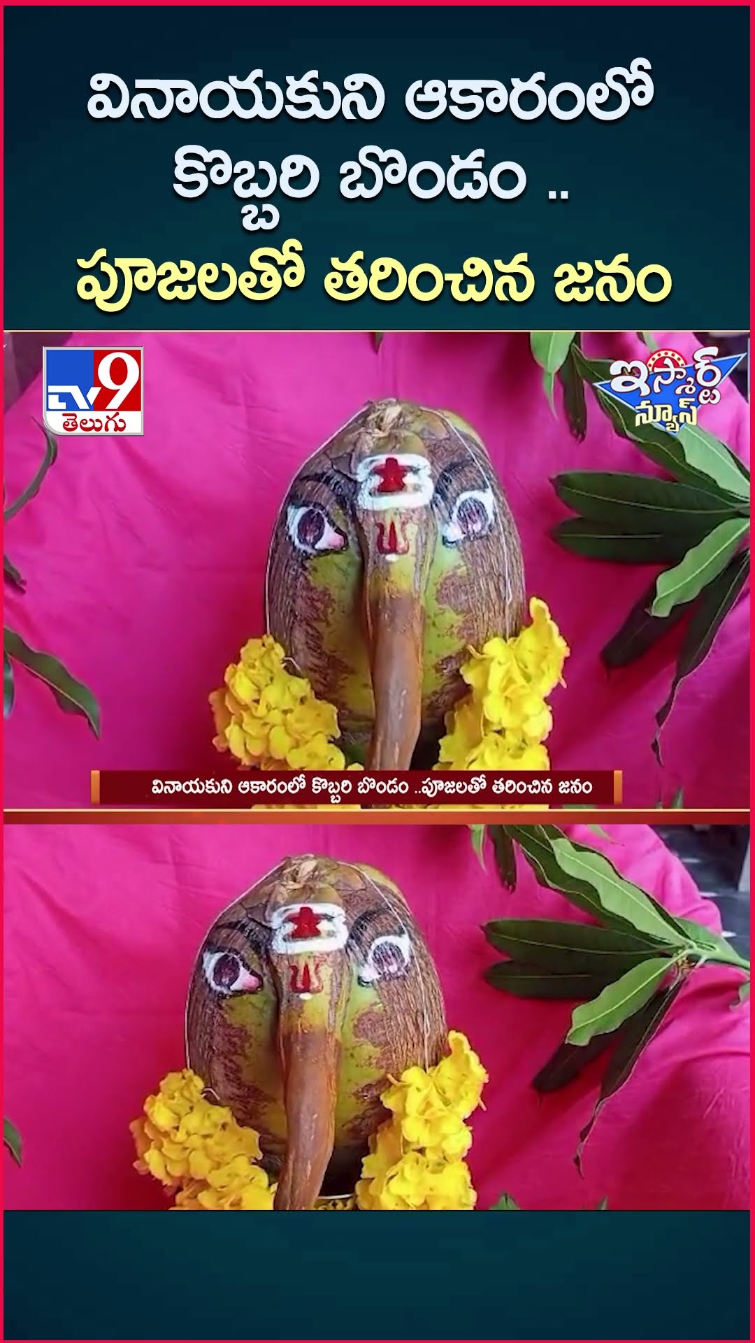 iSmart News : వినాయకుని ఆకారంలో కొబ్బరి బొండం..పూజలతో తరించిన జనం | Coconut Shape Loed Vinayaka -TV9