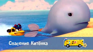 Школьный автобус🚌 Гордон. Сезон 3 - Серия 4. Спасение Китенка - Мультфильм