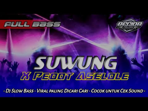 Dj suwung x