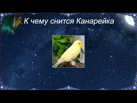 К чему снится Канарейка (Сонник)