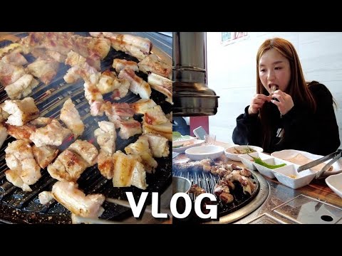 리얼 브이로그:) 먹방 VLOG ★ 행강유기견보호소, 돼지 생갈비구이, 떡볶이에 맥주한잔 ㅣMUKBANGㅣ