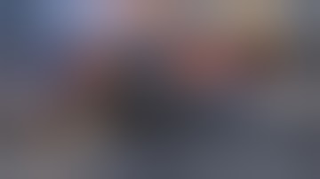 Colt Topic Tuesday | Blued Python Review