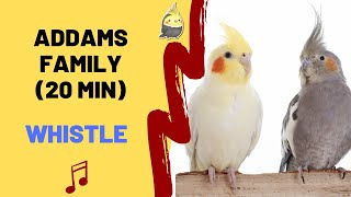 ADDAMS FAMILY WHISTLE - Cockatiel Singing Training - Bird Whistling Practice by Whistling Songs For Birds 7,003 views 1 year ago 20 minutes