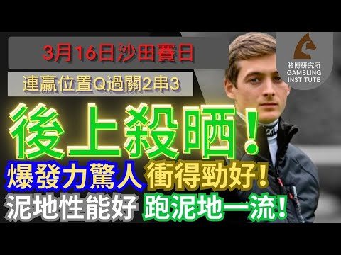 【賽馬貼士】3月16日 連贏位置Q過關2串3｜後上殺晒！｜爆發力驚人衝得好勁！泥地性能好跑泥地一流！