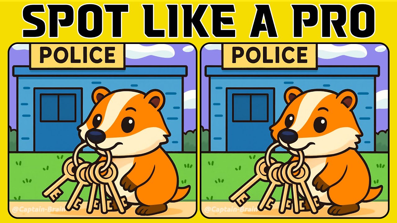 Spot the Difference if You Can! Focus Mode On (A Bit Tricky)