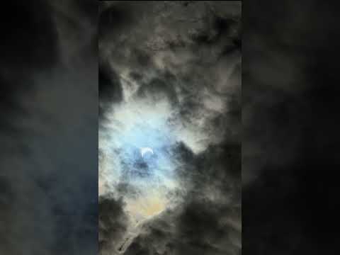 ابن رشد  الغزالي