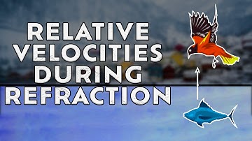 Relative Velocities during Refraction | Class 12 Physics | Ray Optics & Optical Instruments