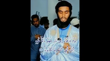 مقطع رائع  من صلاة التراويح للقارئ صلاح الدين دحان ( أبو زياد)  حفظه الله