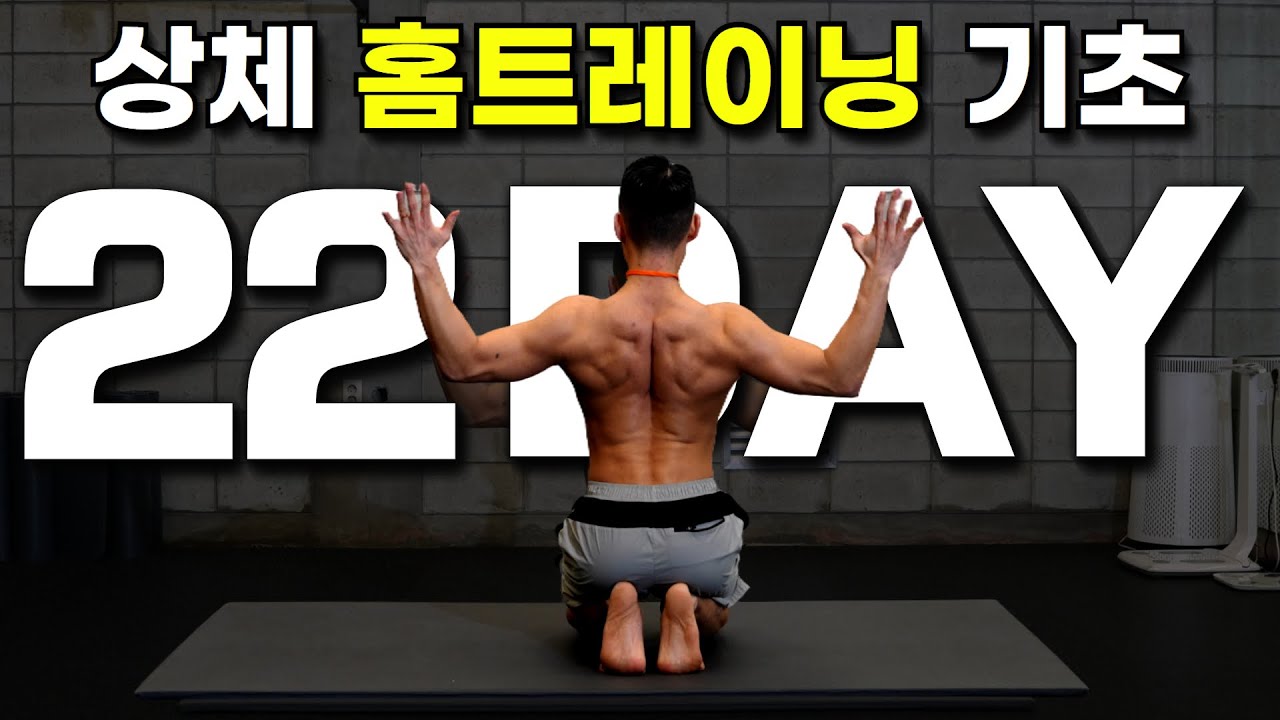 Day22｜홈트레이닝 맨몸 상체 운동 기초 다지기｜30일 운동습관만들기 챌린지