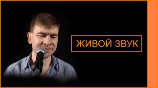 Пьяная вишня 🍒 Королев Виктор 🎤 Новый караоке кавер