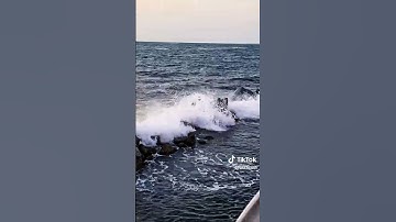 يا عبادي الذين امنوا ان ارضي واسعه 🤍💌 #قرآن #لايك #اكسبلور #قران_كريم #تلاوة_هادئة #الحياه ❤️❤️❤️❤️