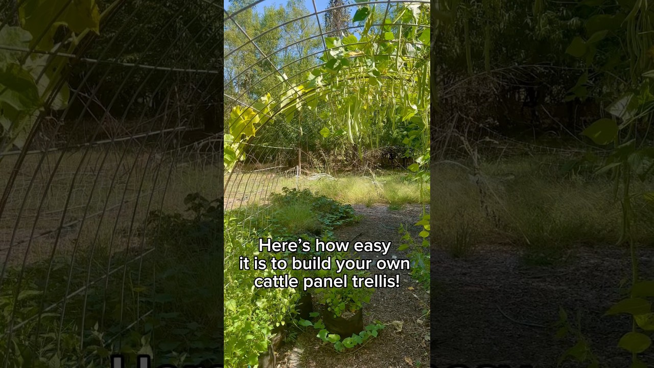 Uploads from From Seed to Spoon Garden Planning App