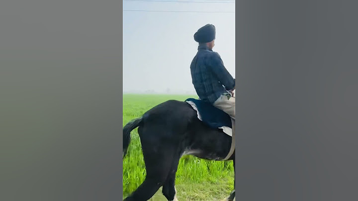 Sade jehe r nait | punjabi new songs | shorts | new songs | best viral videos | music