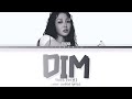 YVES DIM Lyrics Color Coded Lyrics YVES DIM Lyrics Color Coded Lyrics