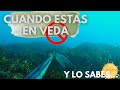 ✅PESCA SUBMARINA🐙PULPO NADANDO EN VEDA🐙 RÍAS ALTAS GALICIA