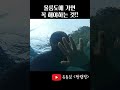 울릉도에 가면 꼭 해야 하는 이것!!