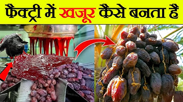 देखिए इस तरह फैक्ट्री में बनाए जाते है खजूर | See how dates made in factory | machine tv hindi