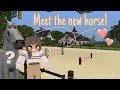 Meet my New Horse! | Minecraft Equestrian | DibbleCraft |