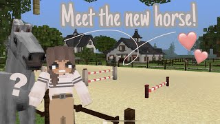 Meet my New Horse! | Minecraft Equestrian | DibbleCraft |