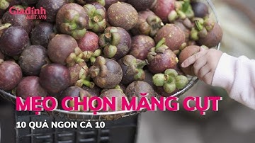 Mẹo chọn măng cụt 10 quả ngon cả 10 | Gia đình & Xã hội