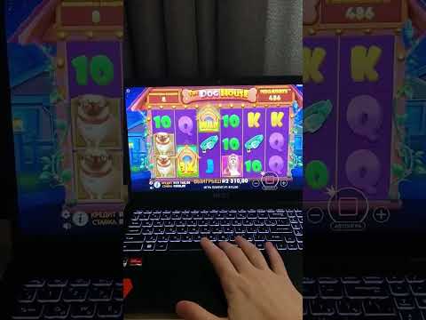 Получи бонус в онлайн-казино ColdBet с промо-кодом - играйте сегодня!
