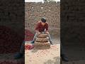 “Desi Jugaad Machine Turns Chili Waste Into Gold! 🌶️🤖 | Viral Village Innovation”